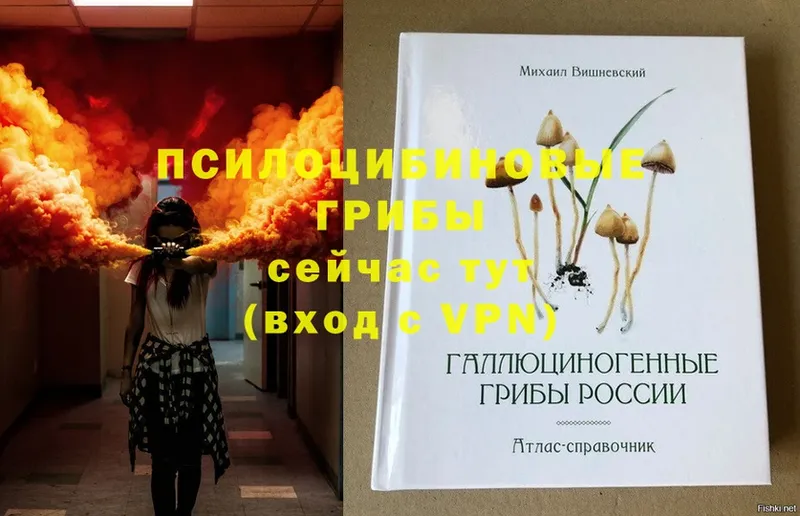 даркнет состав  Петровск-Забайкальский  Псилоцибиновые грибы Psilocybe  ОМГ ОМГ ССЫЛКА 